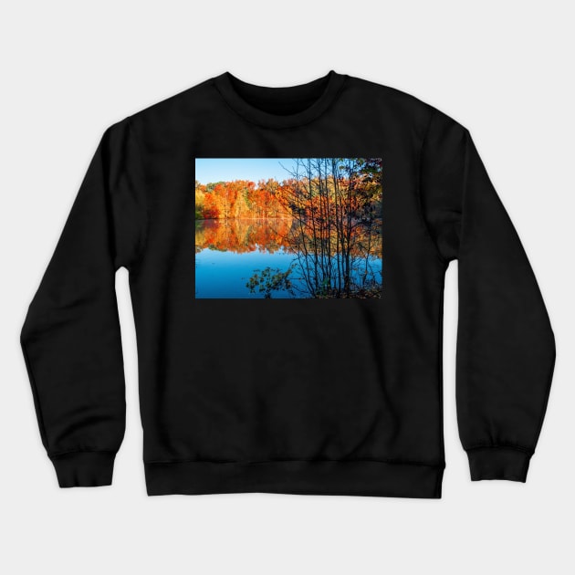 Autumn Contrast Crewneck Sweatshirt by andykazie